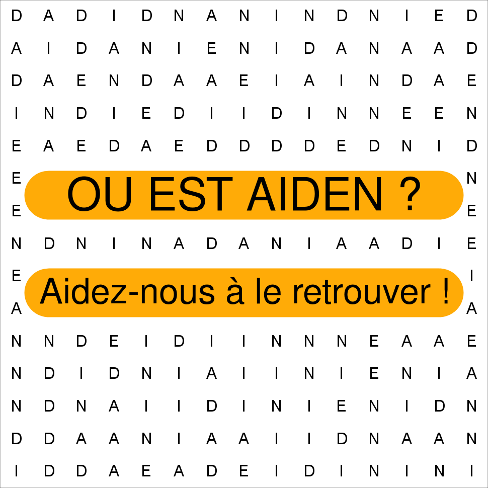 AIDEN