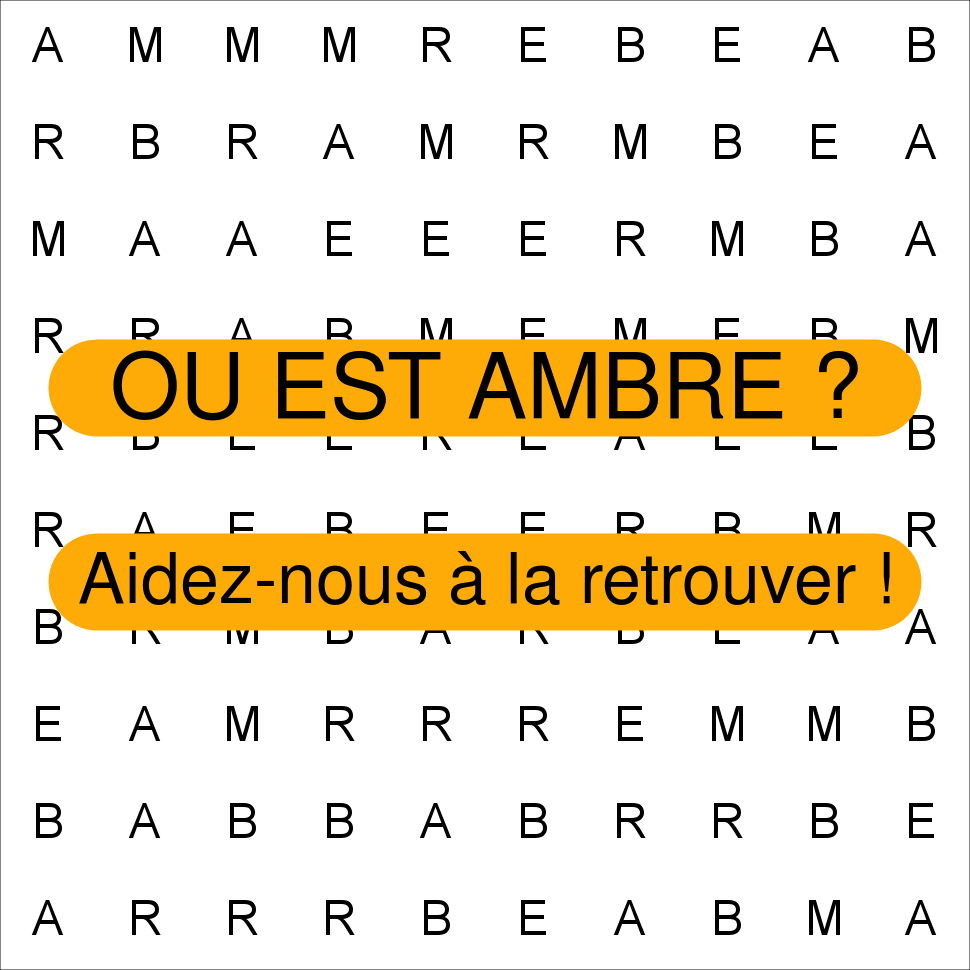 AMBRE