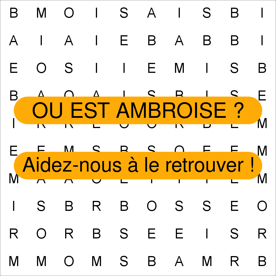 AMBROISE