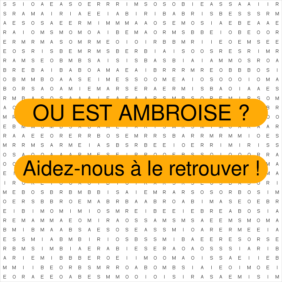 AMBROISE