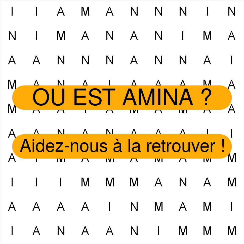 AMINA