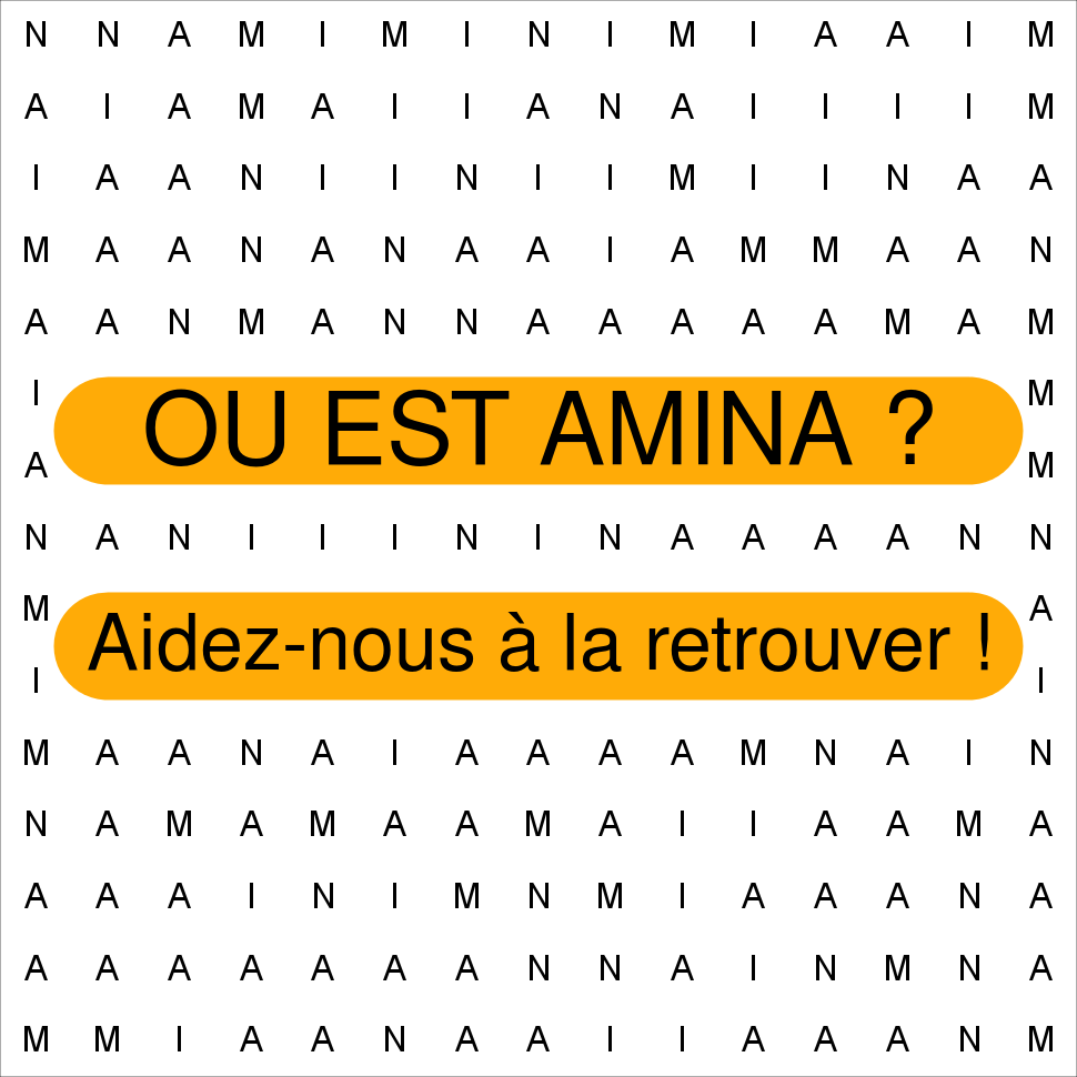 AMINA