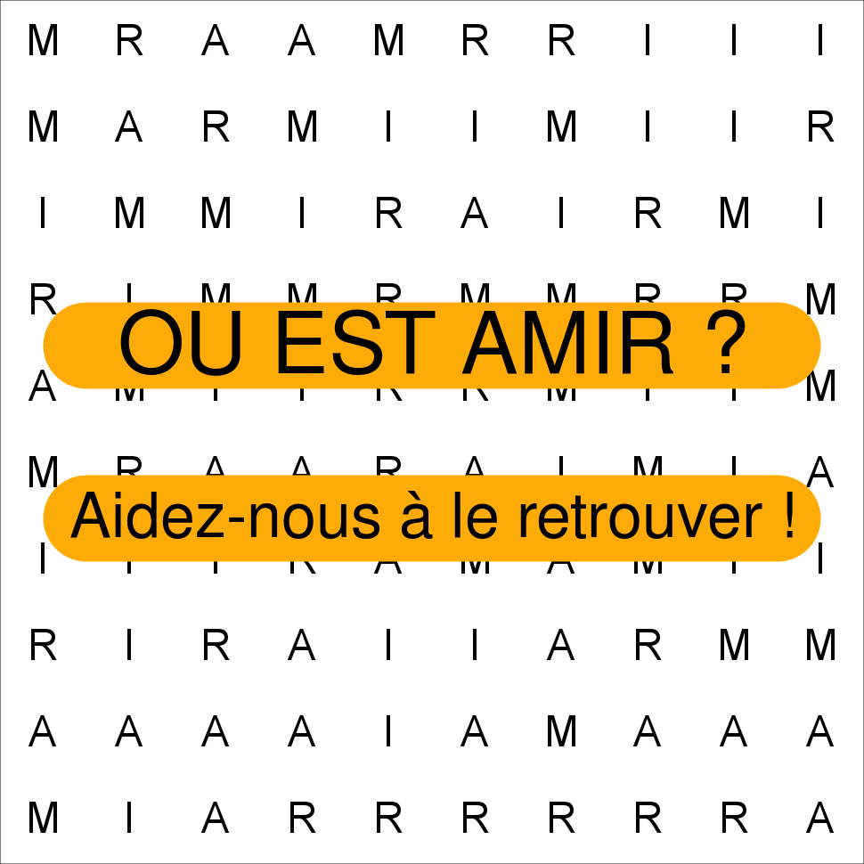 AMIR