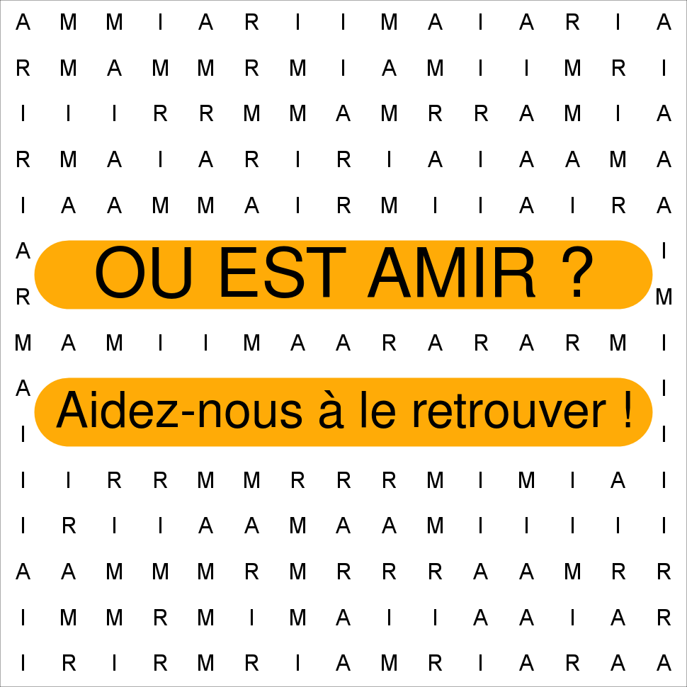 AMIR