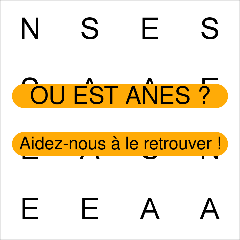 ANES