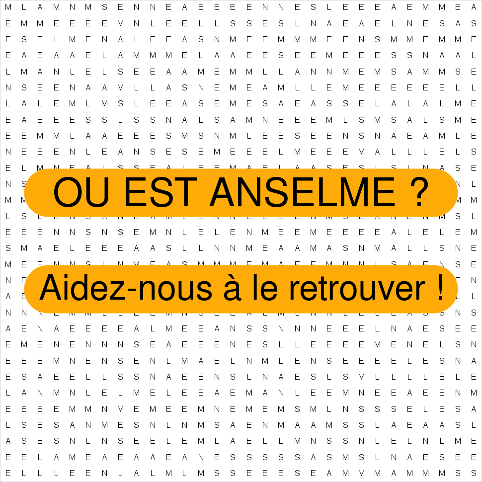 ANSELME