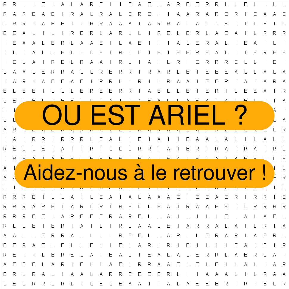 ARIEL