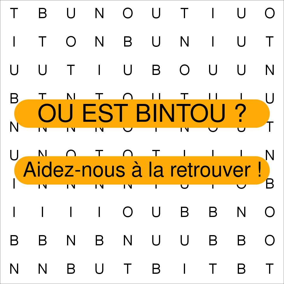 BINTOU