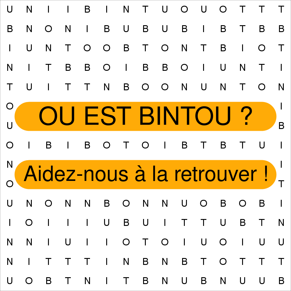 BINTOU