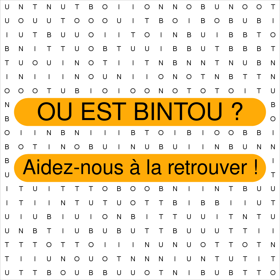 BINTOU