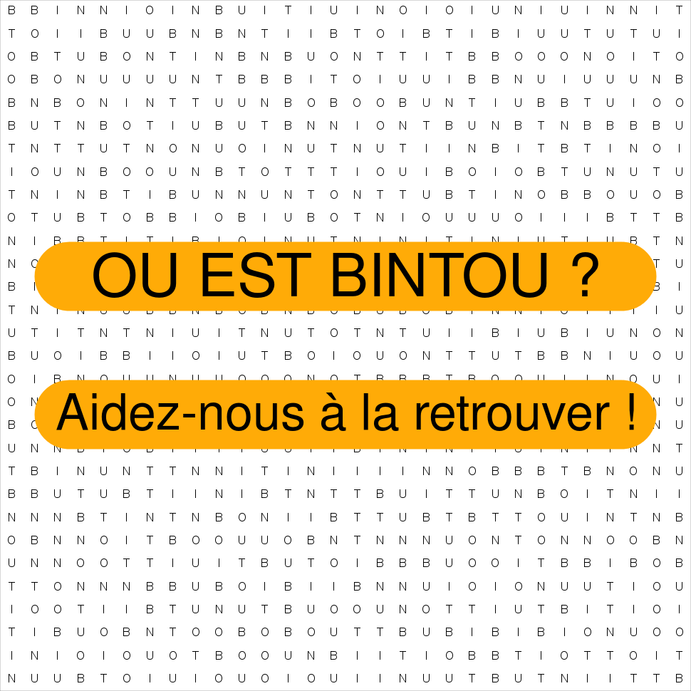BINTOU