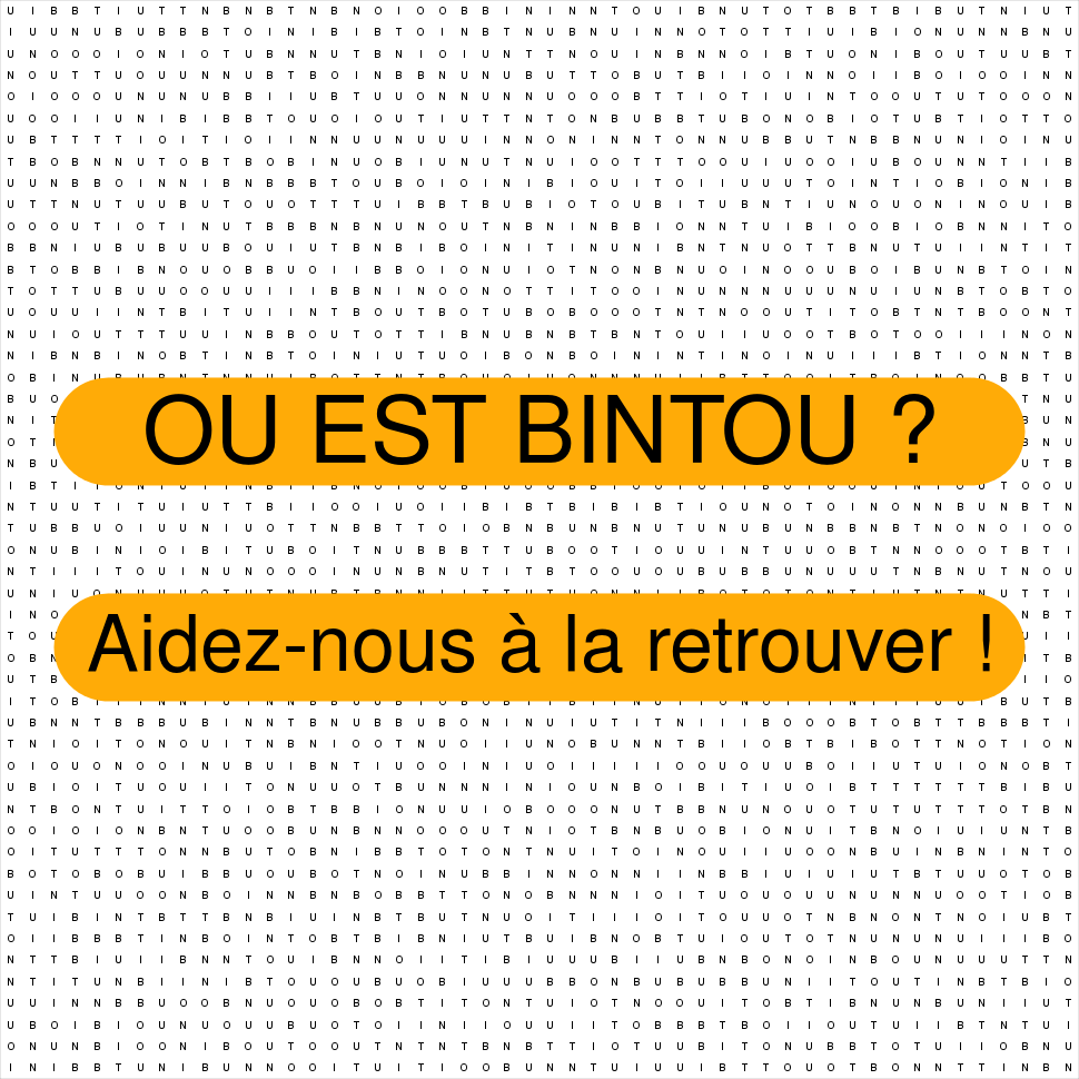 BINTOU