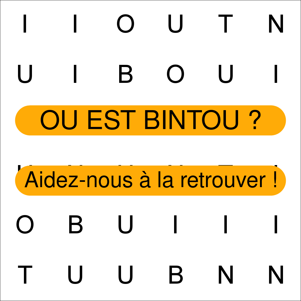 BINTOU