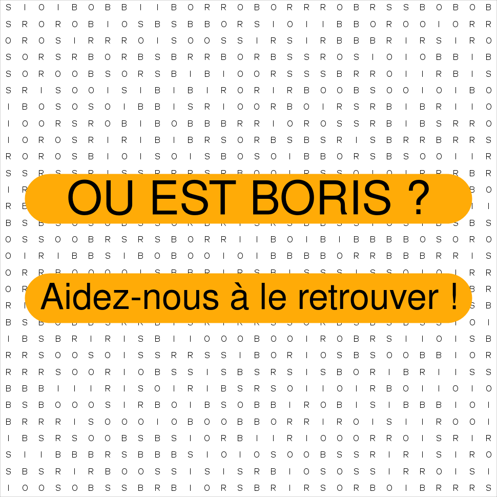 BORIS