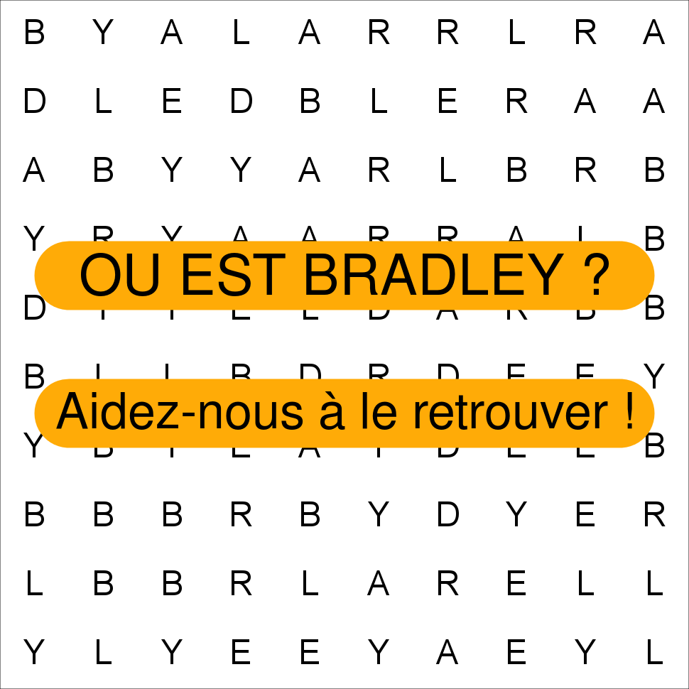 BRADLEY