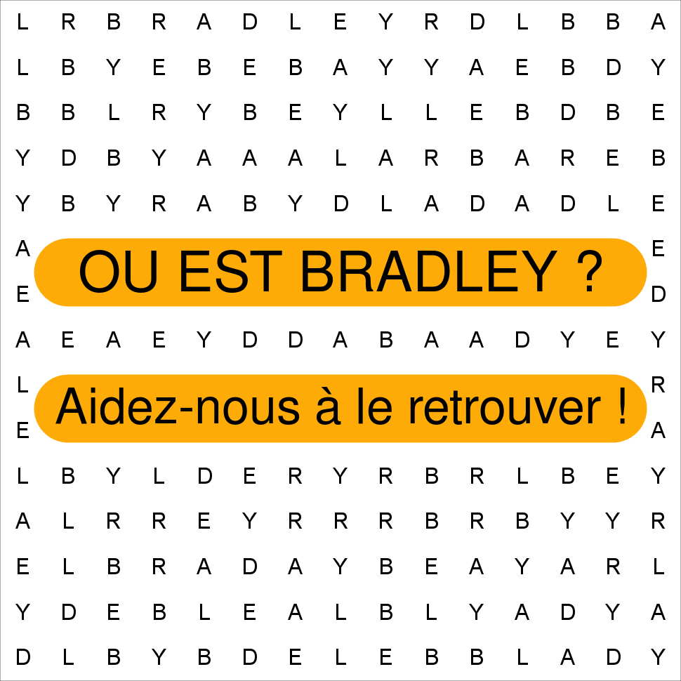 BRADLEY