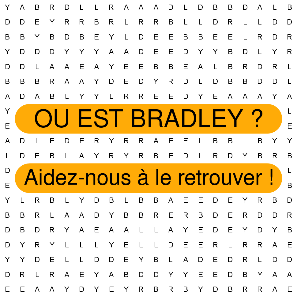 BRADLEY