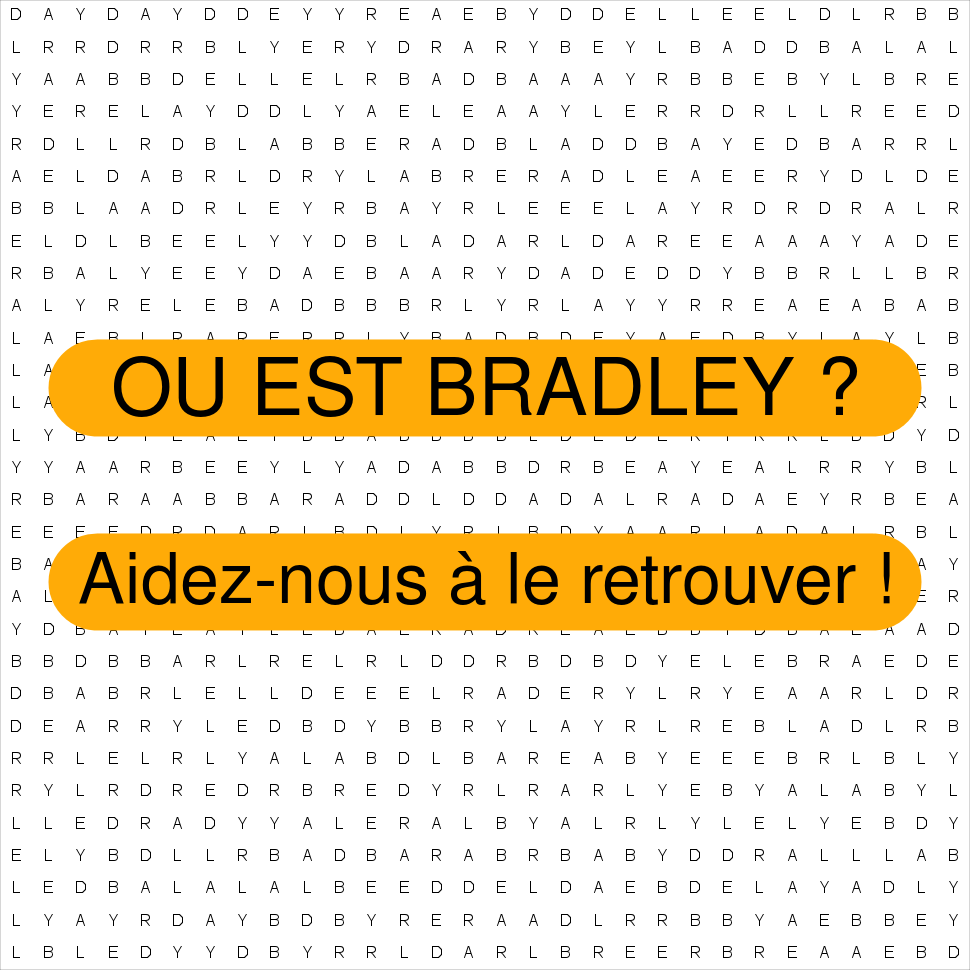 BRADLEY