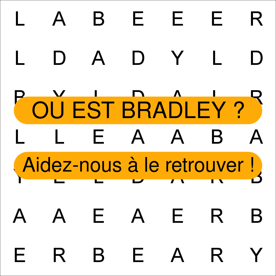 BRADLEY