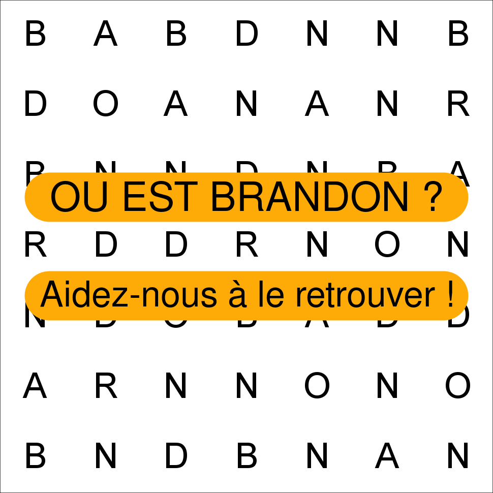 BRANDON