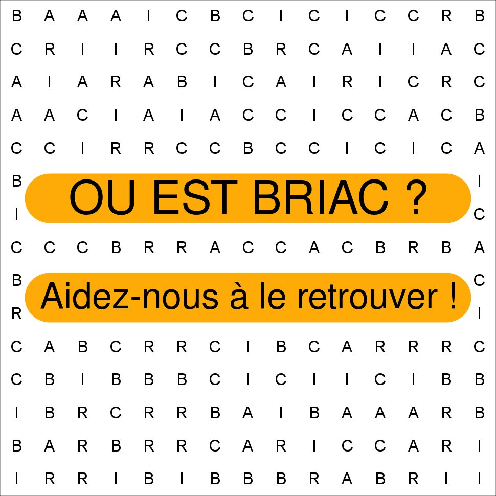 BRIAC