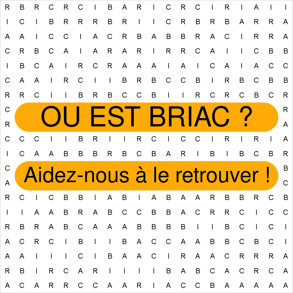 BRIAC