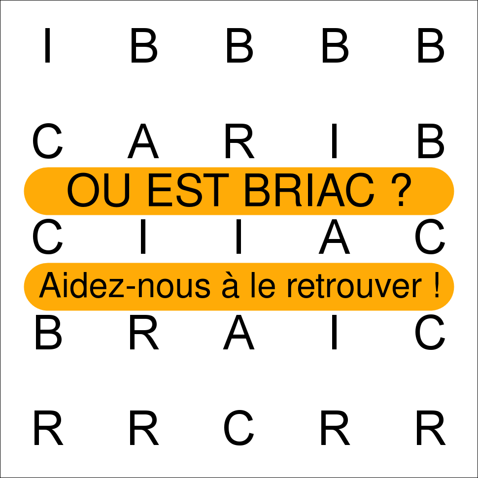 BRIAC