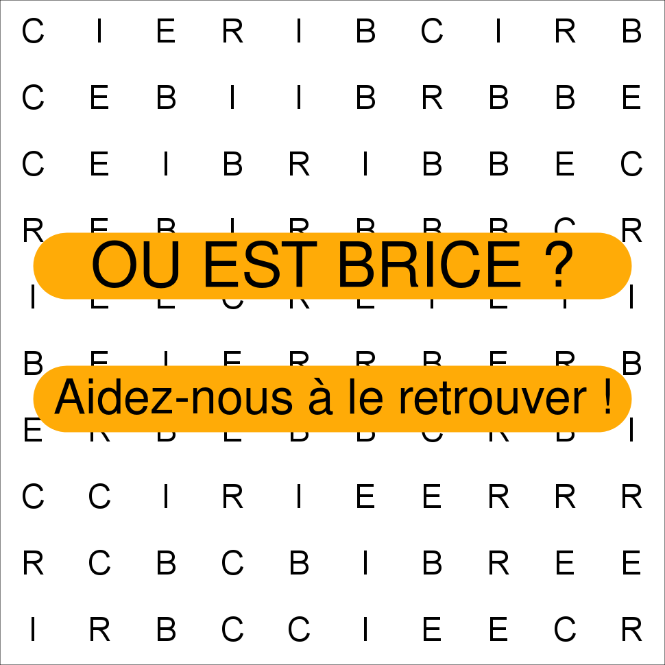 BRICE
