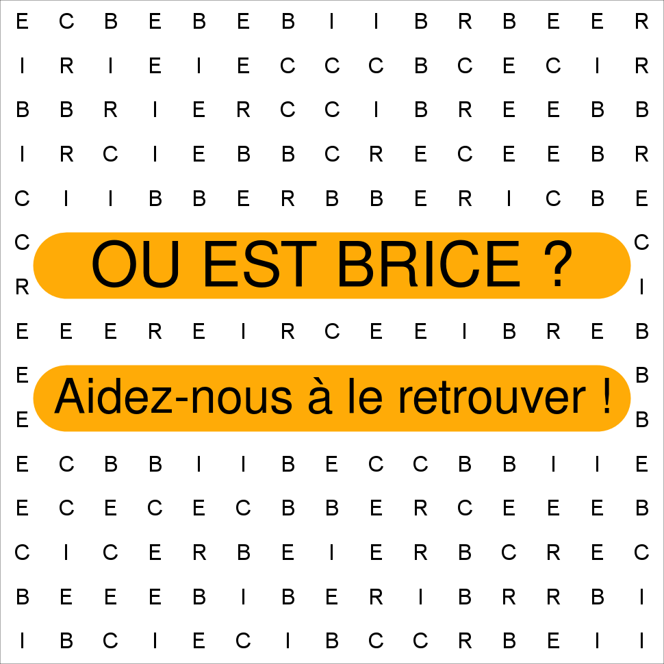 BRICE