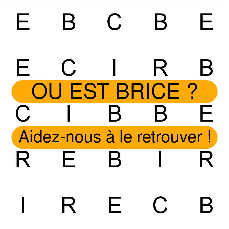 BRICE