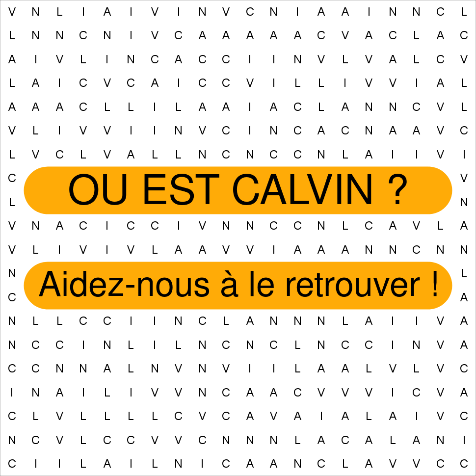 CALVIN