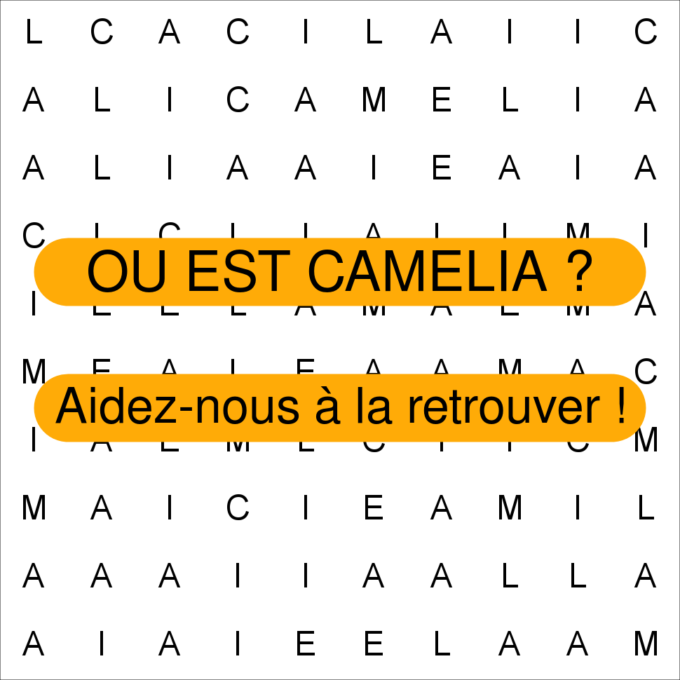 CAMELIA