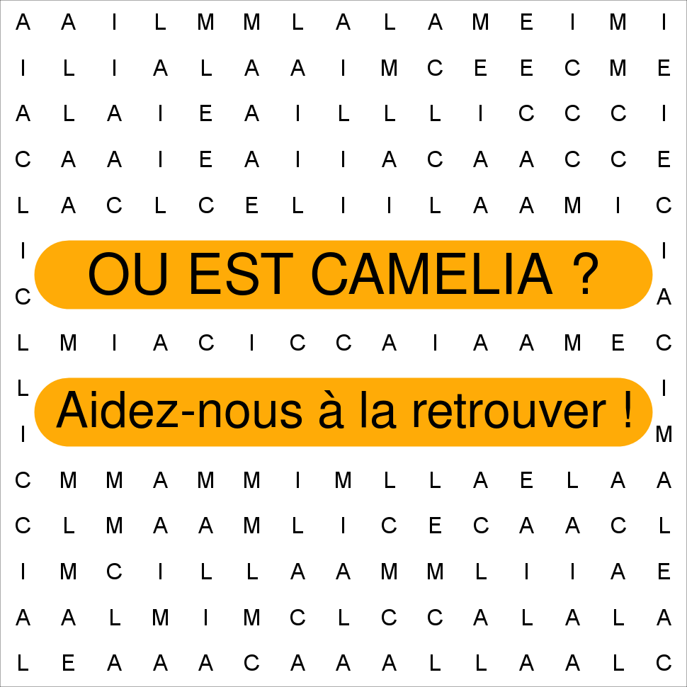 CAMELIA