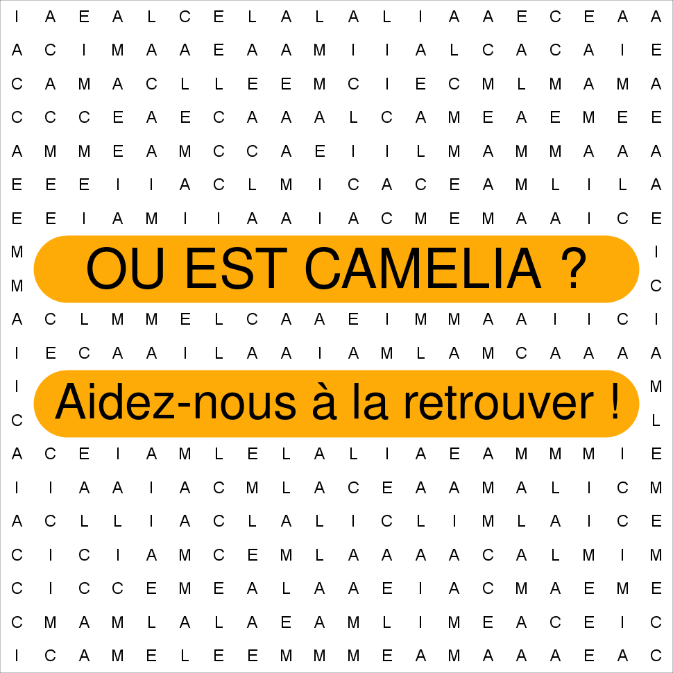 CAMELIA