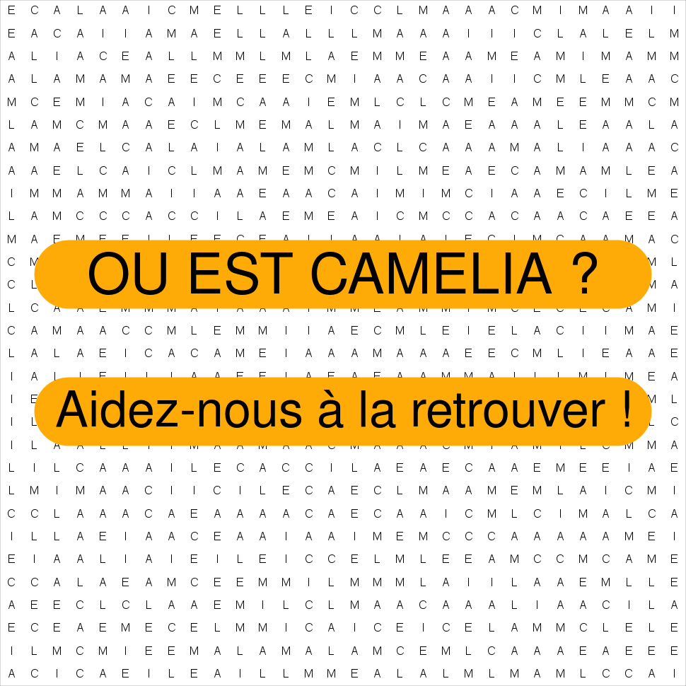 CAMELIA