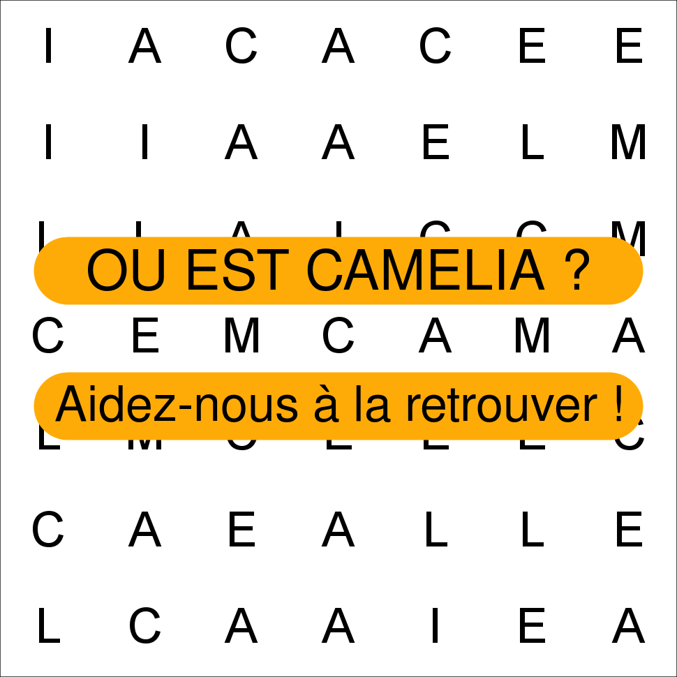 CAMELIA