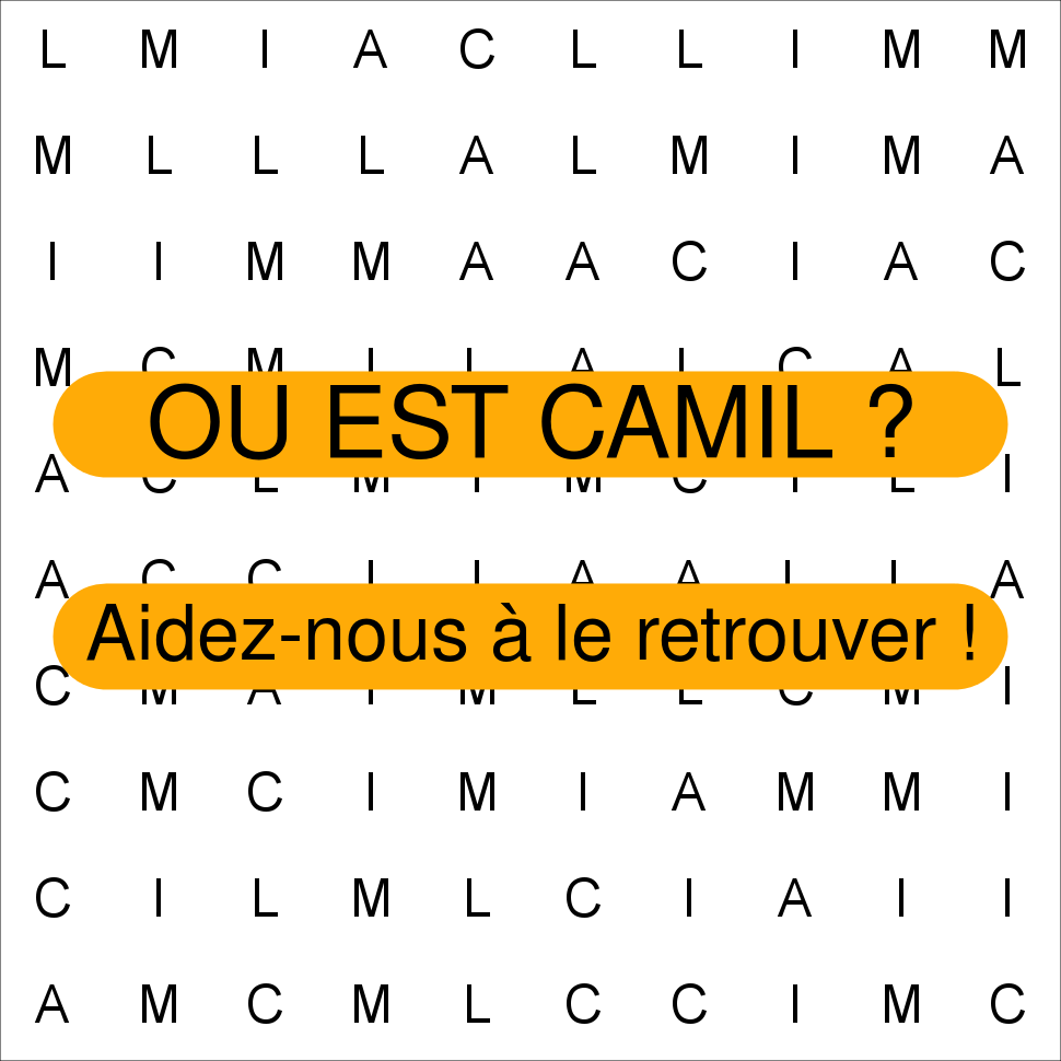 CAMIL