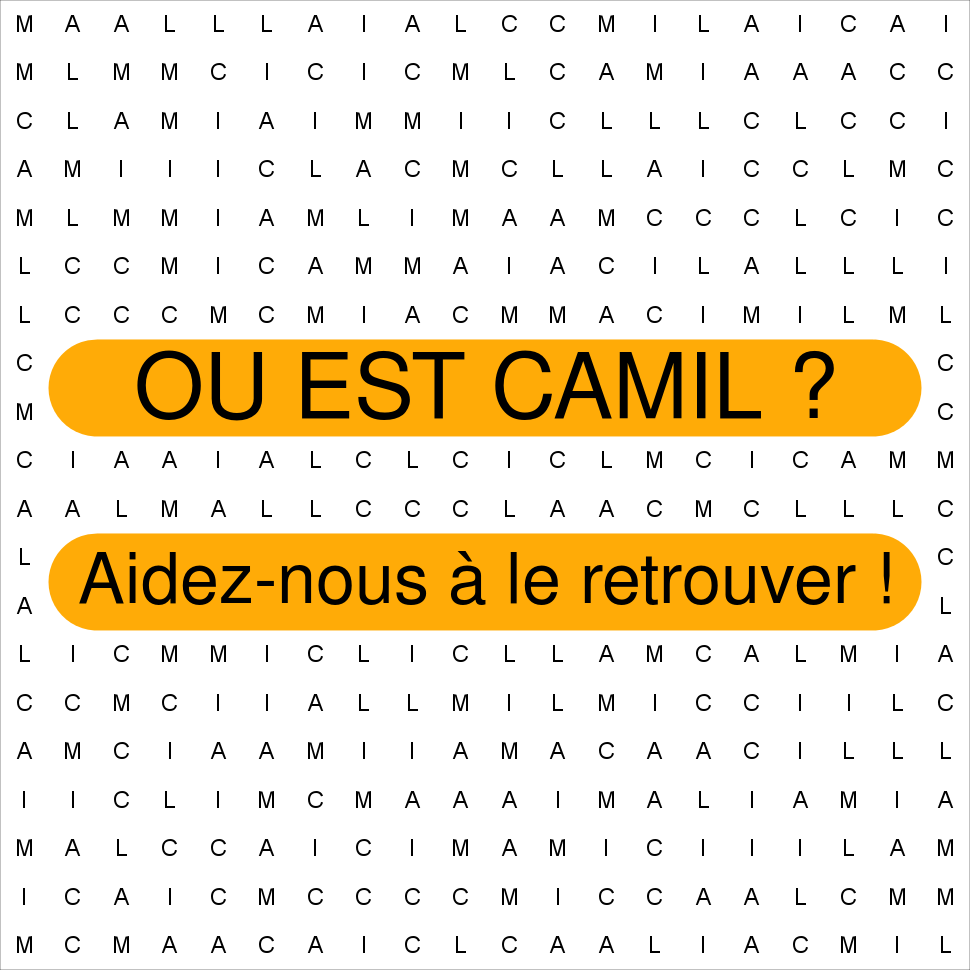 CAMIL