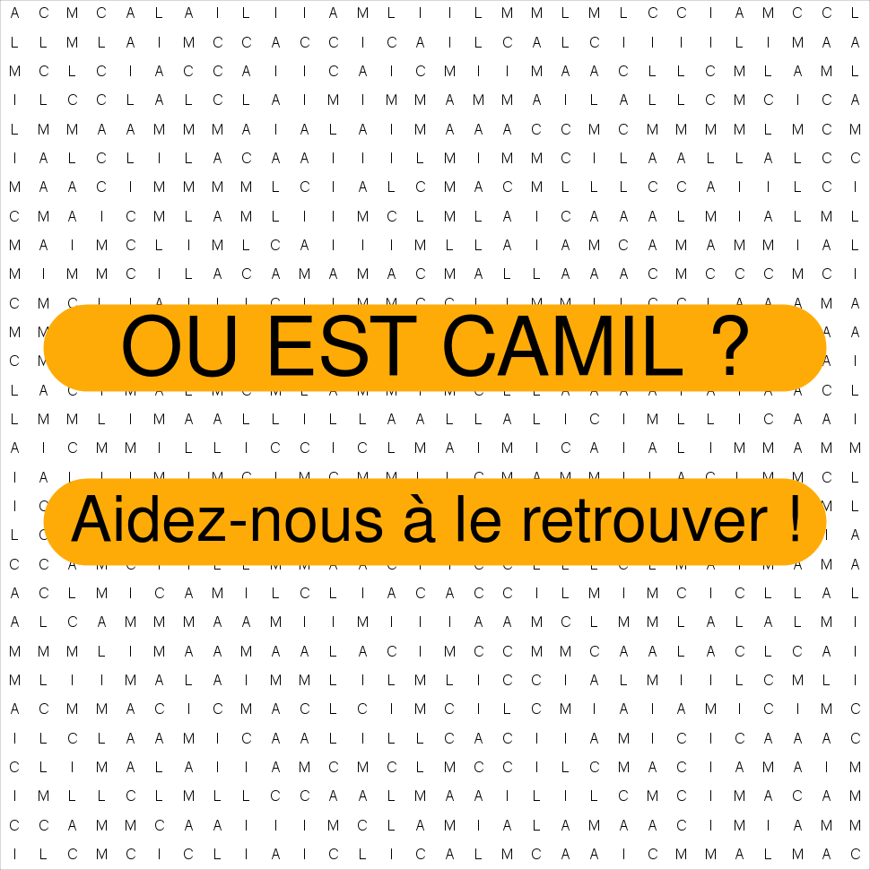CAMIL