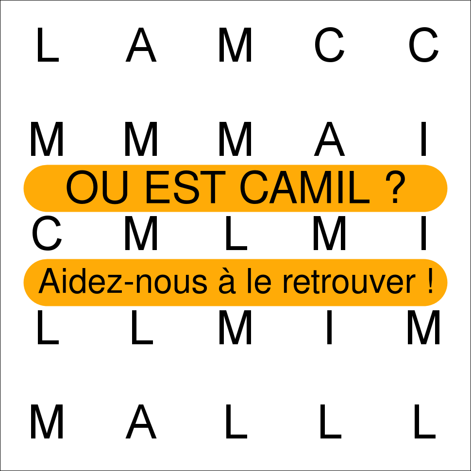 CAMIL