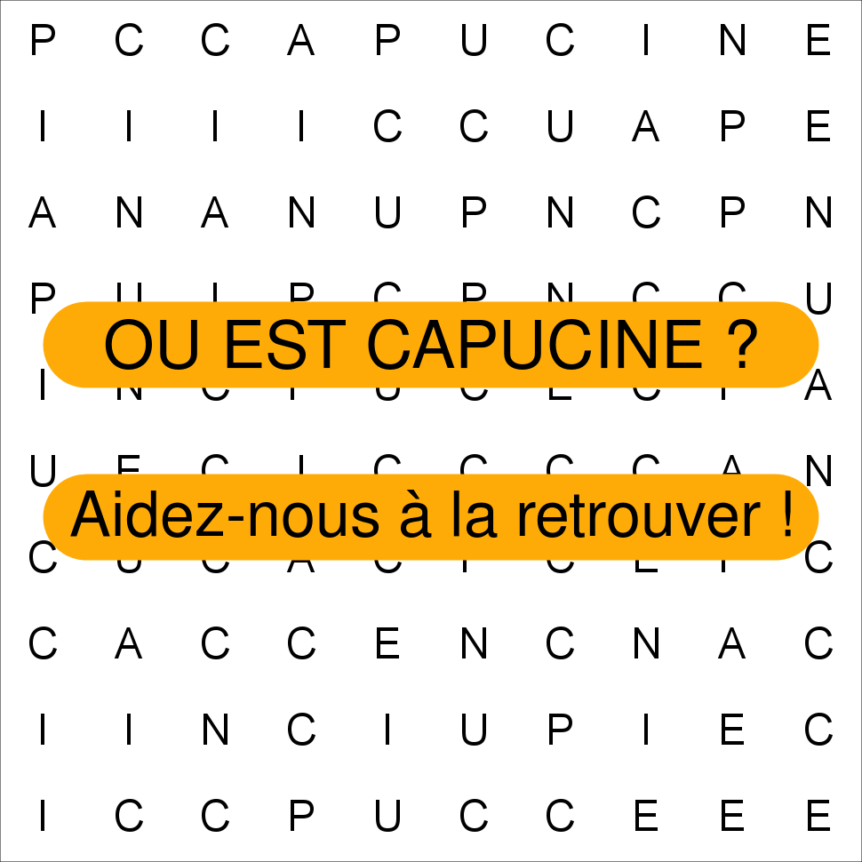 CAPUCINE