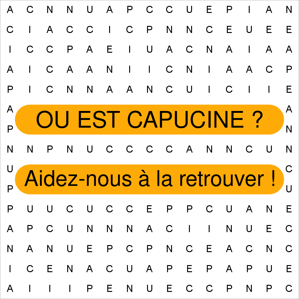CAPUCINE