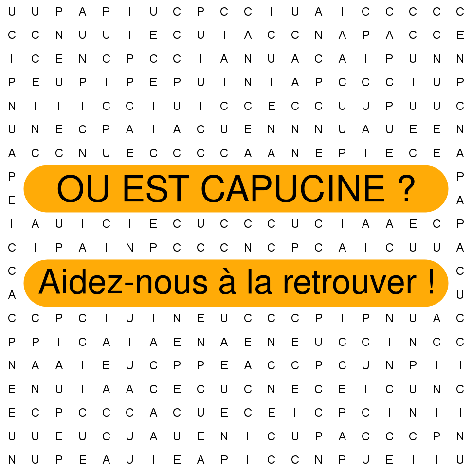 CAPUCINE