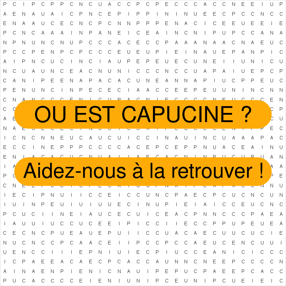 CAPUCINE