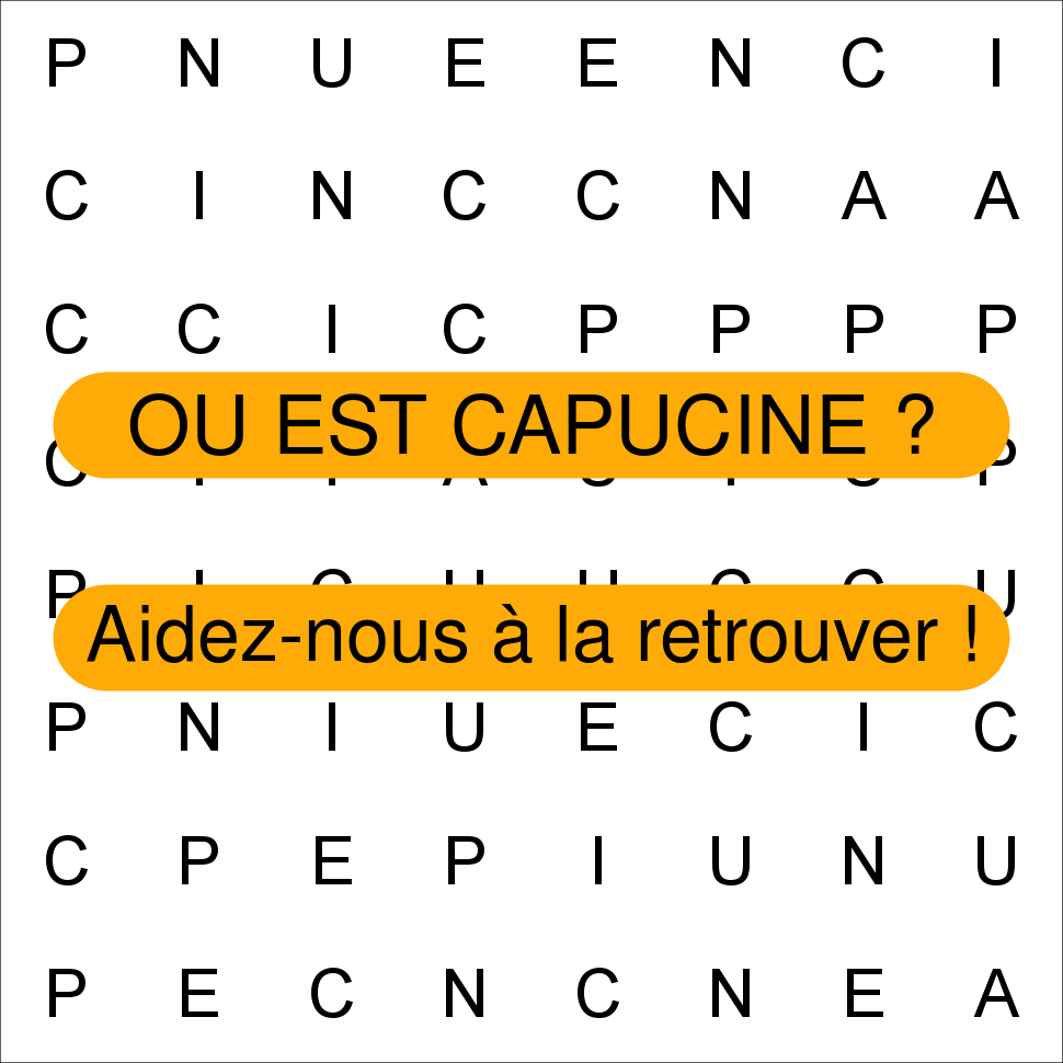 CAPUCINE