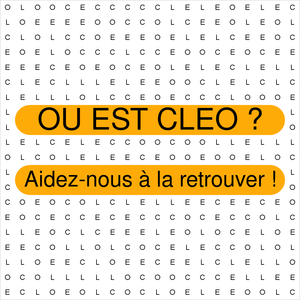 CLEO