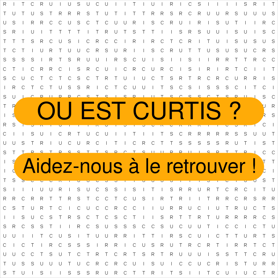 CURTIS