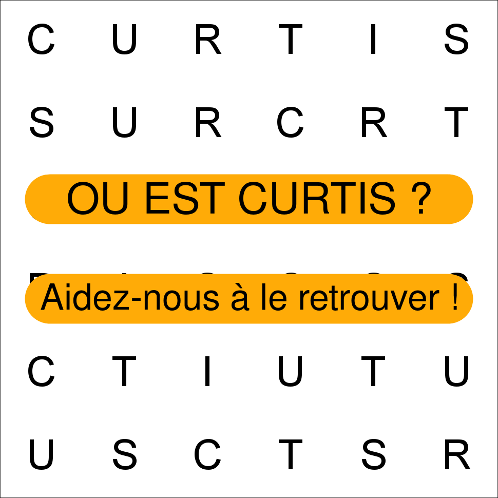 CURTIS