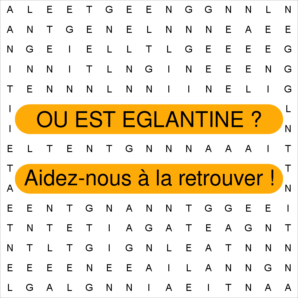 EGLANTINE