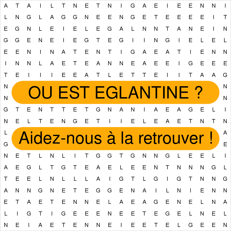 EGLANTINE